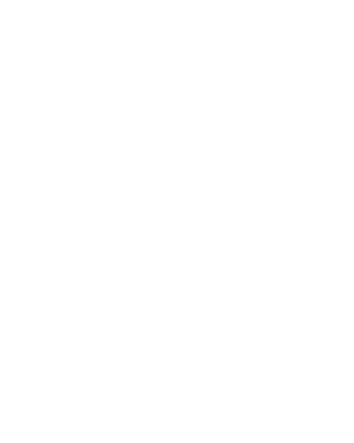 buhala spa icon