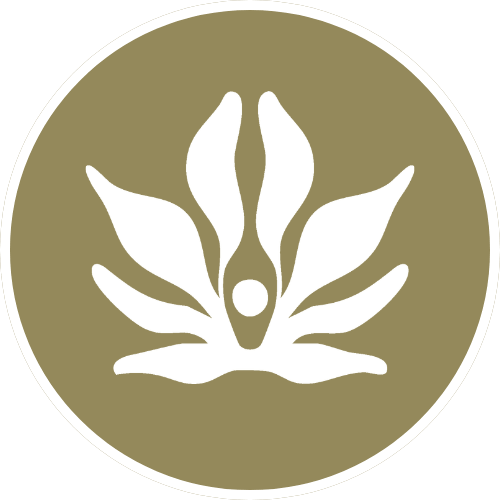schwangerschafts icon